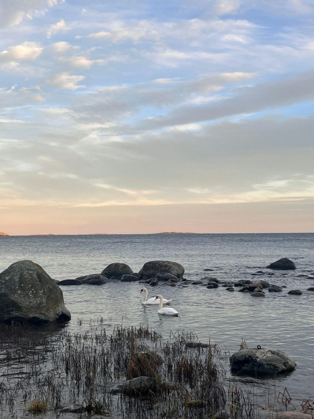 Utforska Stockholms skärgård: Resan med båt från Stavsnäs till Sandhamn