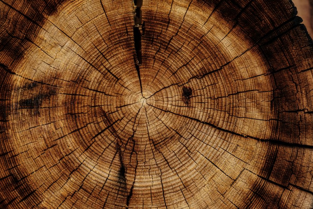 Granvirke – hållbart byggmaterial med lång tradition
